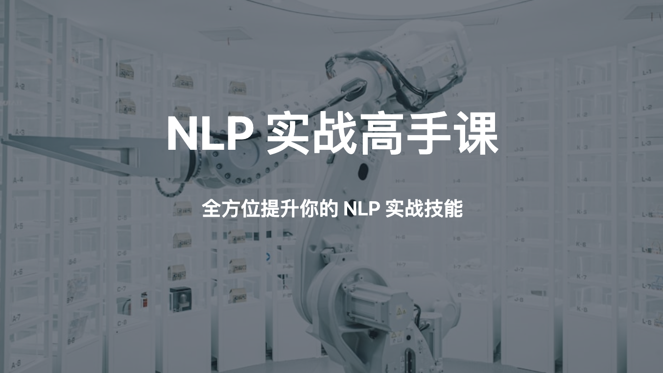 NLP 实战高手课