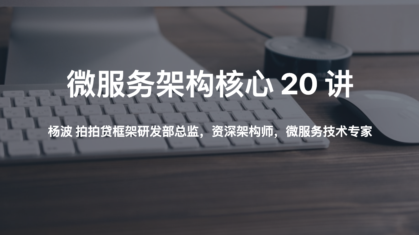 微服务架构核心 20 讲